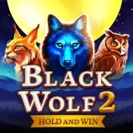 Black Wolf screenshot